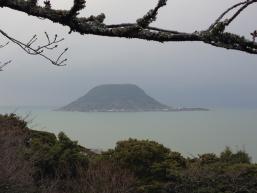 巨大カメ