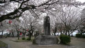 夜桜の楽しさを感じさせるな
