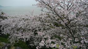 海に近いお城、、、実感。