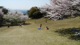 子供達は草の上をそり滑り